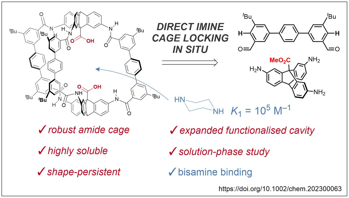 My work to access stable amide cages via in situ imine assembly/oxidation is now out in Chemistry - A European Journal. Thanks to @Royalcom1851, @LinacreCollege, @HLAGroupOx and @OxfordChemistry for funding and support! …mistry-europe.onlinelibrary.wiley.com/doi/10.1002/ch…