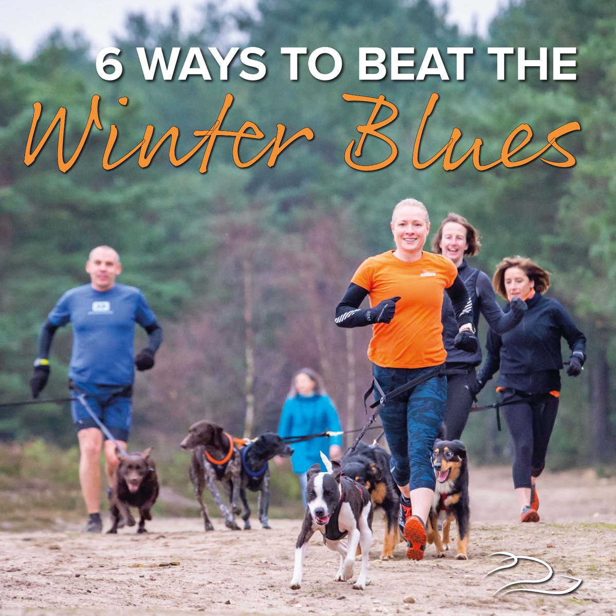 6 ways to beat the winter blues alongside your canine companion 🐾🧡

In our latest blog, we take a look at ways your dog can keep your motivation levels up through the January blues
blog.dogfit.co.uk/2023/01/6-ways…
#bluemonday #canicross #motivation #dogfituk