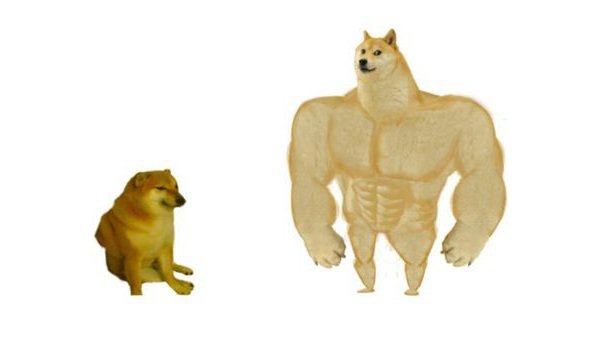 Solo protesta contra su ex en las canciones / La Polla Records