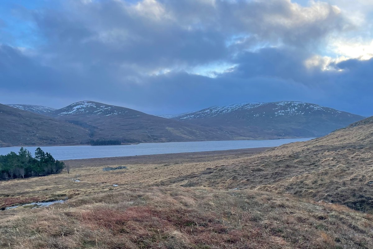 NatureScot on Twitter "NatureScot has used its intervention powers to