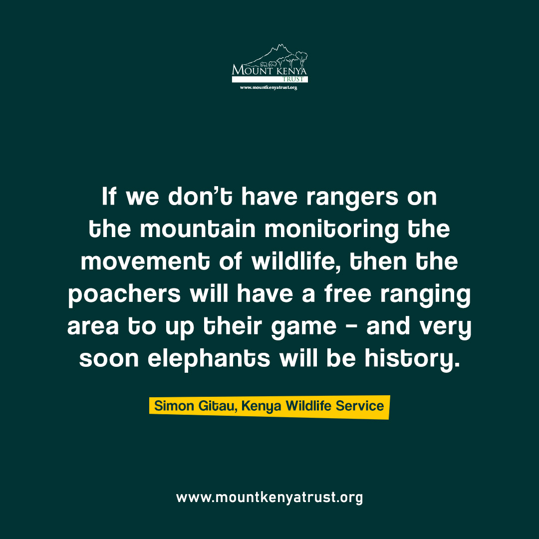 mountkenyatrust's tweet photo. MKT Rangers are responsible for enforcing laws and regulations to protect wildlife and their habitats, as well as educating the public about conservation efforts.
#MountKenyaTrust #MKTRangers #ecoquotes #rangers #rangerlife #rangerquotes https://t.co/7RNfaP6dpi