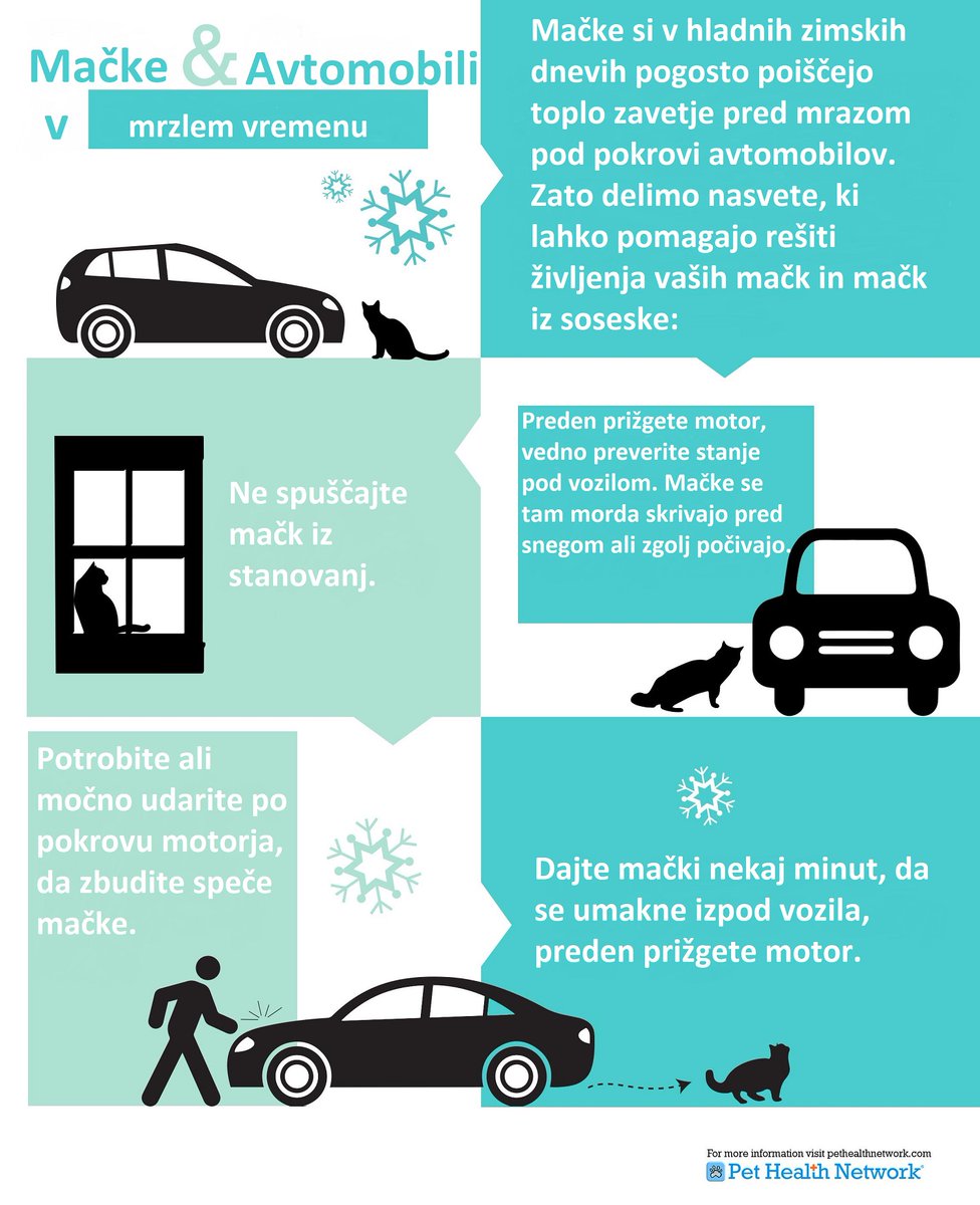 hovhov's tweet photo. Lepo prosimo vse, ki imate avtomobile zunaj: Preden prižgete avto in se odpeljete na pot, udarite po pokrovu! Uboge mačice se rade skrijejo pred hladom v podvozje avtomobila. Tačka? 🐾 https://t.co/OOv45bkLMB