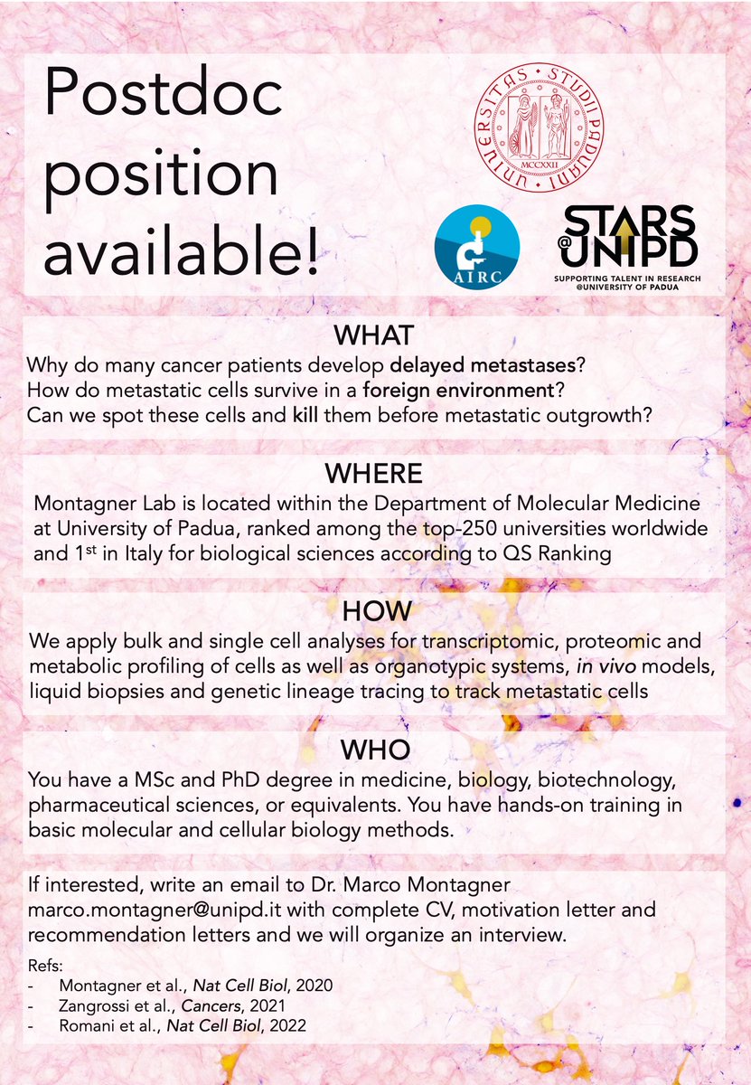 MontagnerLab's tweet image. Interested in working on #cancer and #dormancy? We are looking for a passionate and ambitious postdoc to join our lab within a #AIRC-funded project at @DMM_Unipd @UniPadova . Immediate start.
#fellowship #postdocjobs #openpositions #ricerca