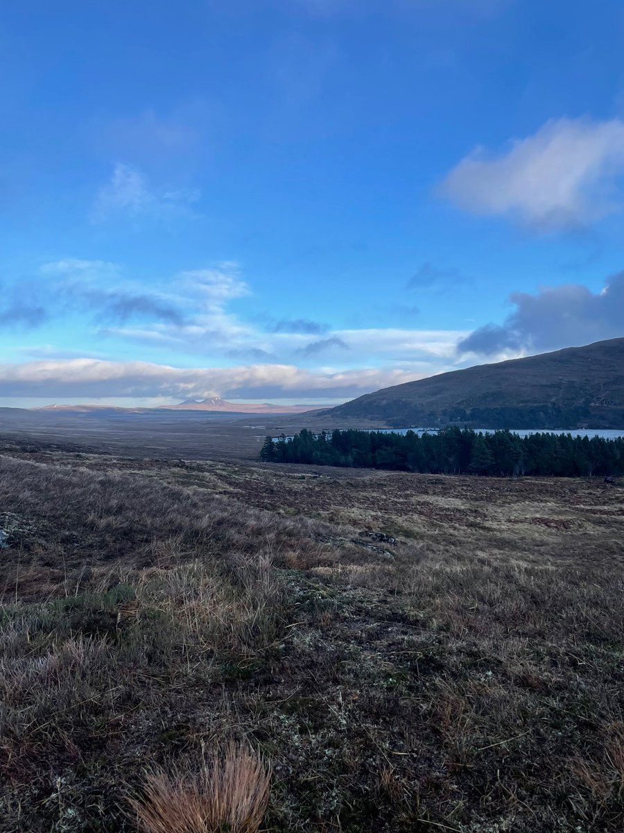 NatureScot on Twitter "NatureScot has used its intervention powers to