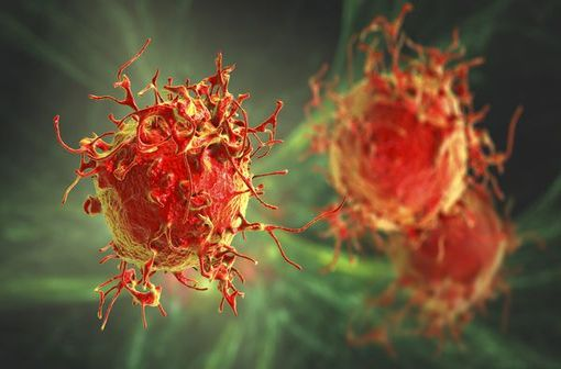 ScienceCQFD's tweet photo. [RDV 16h !] #Cancer : comment l'INSERM contribue-t-elle à la recherche dans ce domaine ? Quelles sont les principales avancées de ces 15 dernières années ?https://t.co/oSgmhEilEl avec Alain Eychène &amp; @FatimaMechta, une émission en partenariat @Inserm co-animée par @CornillierYann https://t.co/LIoLgEeVFq