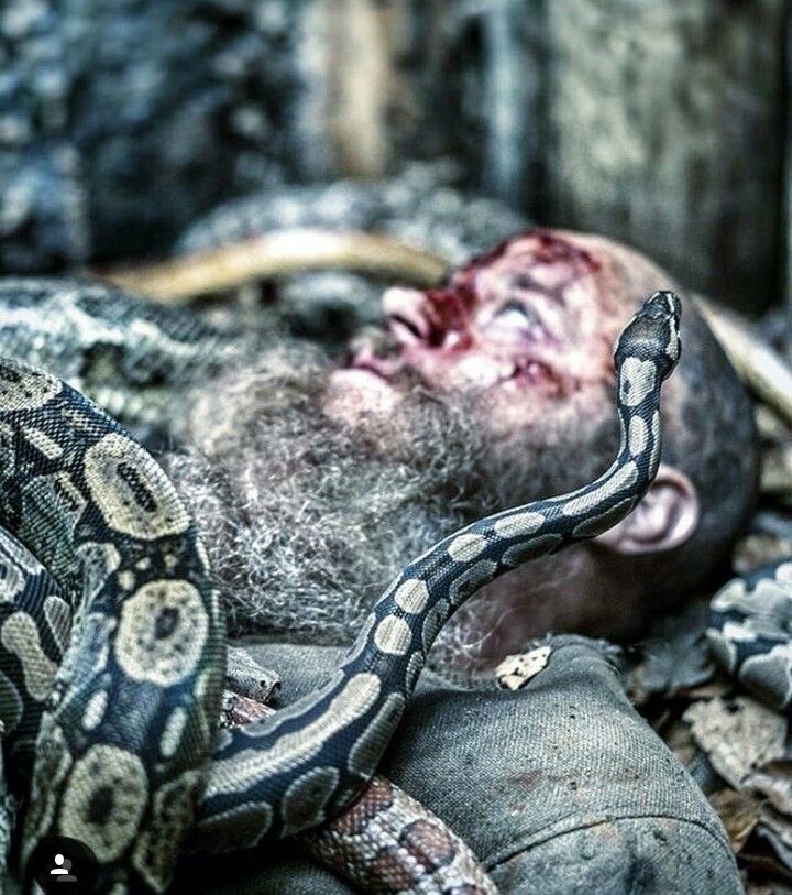 soueujad's tweet photo. o meu trauma cinematográfico https://t.co/xovOsqSVtK