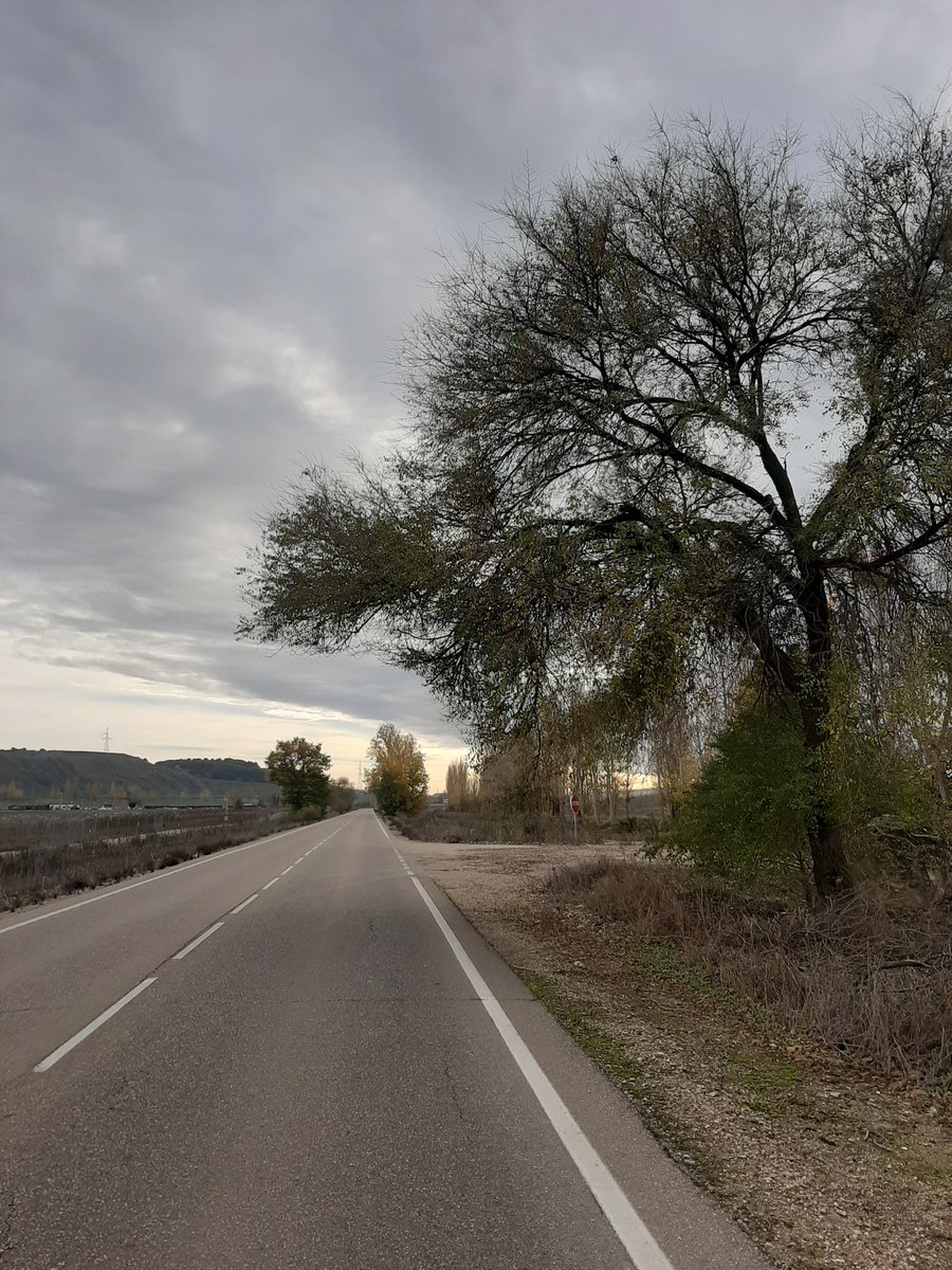 AUGC Valladolid tweet media