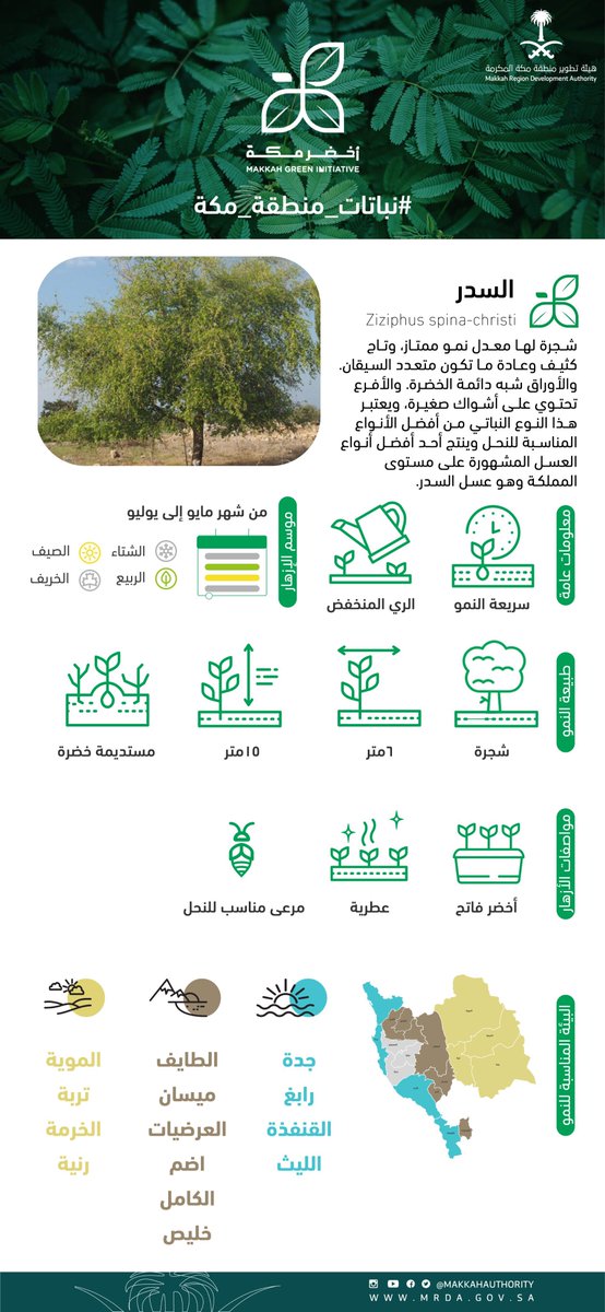 إمارة منطقة مكة المكرمة tweet media