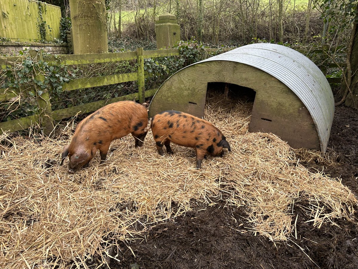 ValeHouseKitchen tweet media