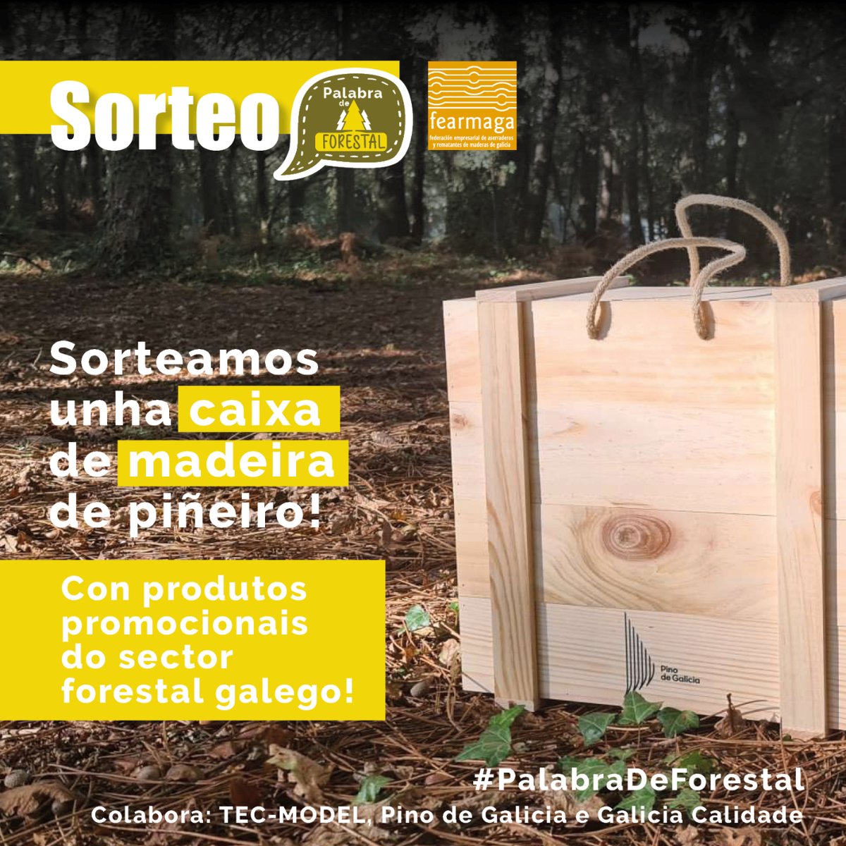 fearmaga's tweet image. Regresan nuestros sorteos de #PalabraDeForestal! 📢 Sorteamos una #caja de madera de pino gallego con material promocional del sector forestal. Está amparada por @pinodegalicia y fabricada por la carpintería #TECMODEL (A Estrada), en una iniciativa de @GaliciaCalidade 👇