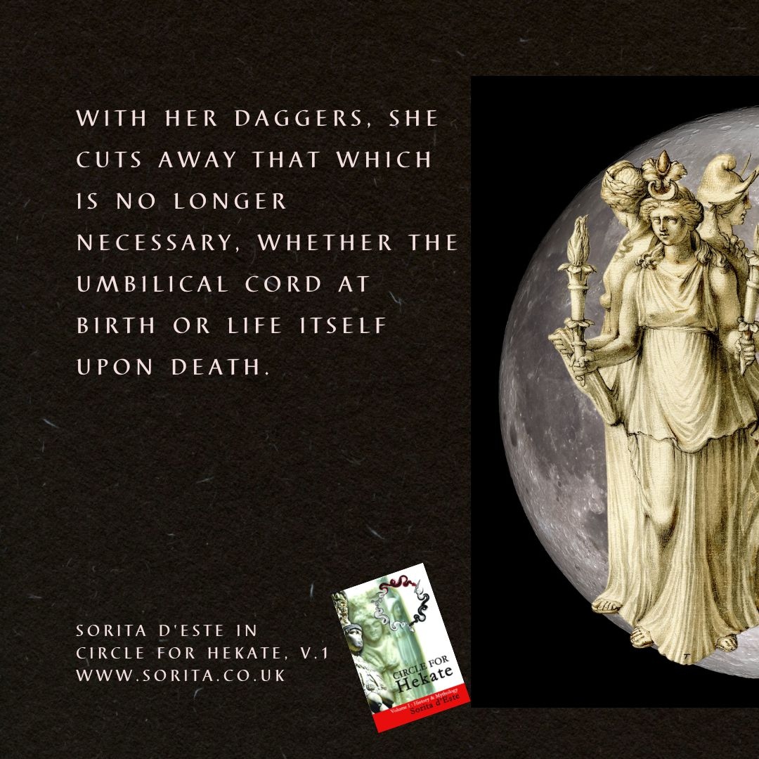 Avalonia Books tweet media