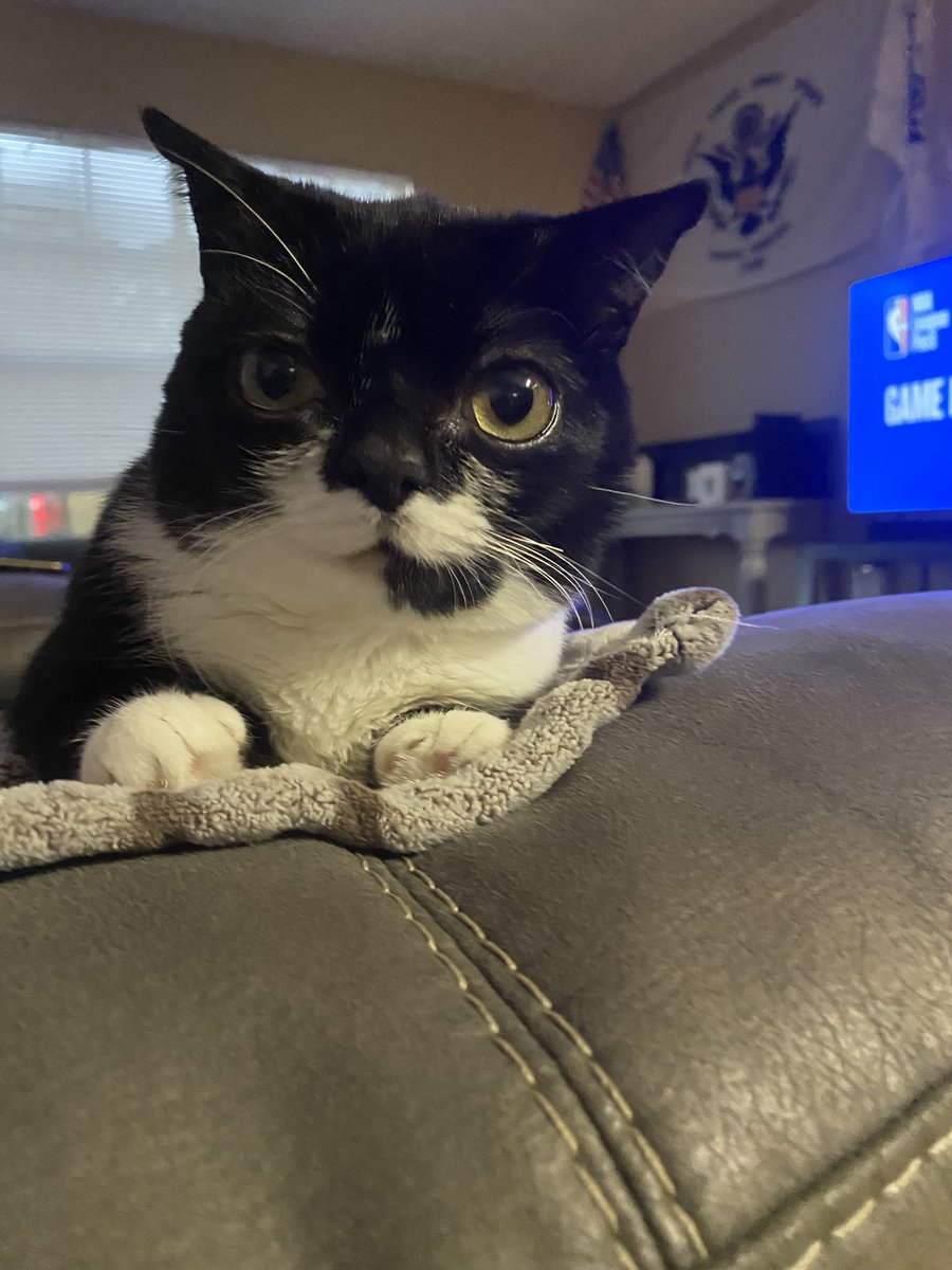 Frank The Dwarf (@dank_frankboi) on Twitter photo 