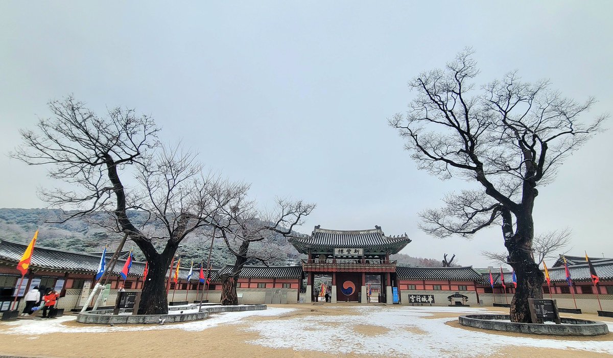cslee6614's tweet photo. #수원화성 #삼정승 #느티나무 https://t.co/RY5ErCodal