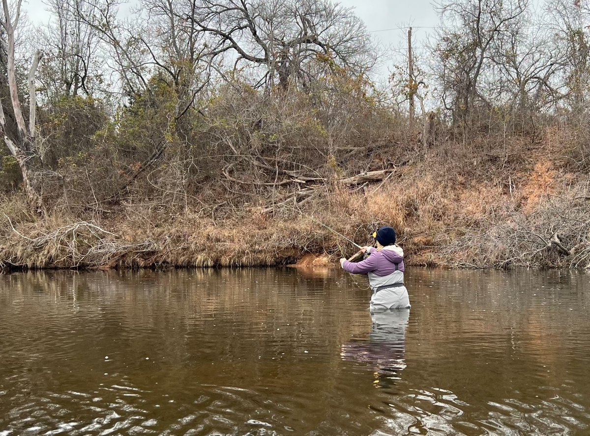 TXCRLT's tweet photo. A good cast, a convincing fly, and an accurate reading of the water are critical elements in your success. 

Winter Flyfishing in Texas  – insights from a seasoned outfitter and an Orvis exec is up on The Rifle and Reel. Check it out now!

https://t.co/PlhlhJDvAI https://t.co/6LHmCeVGVV