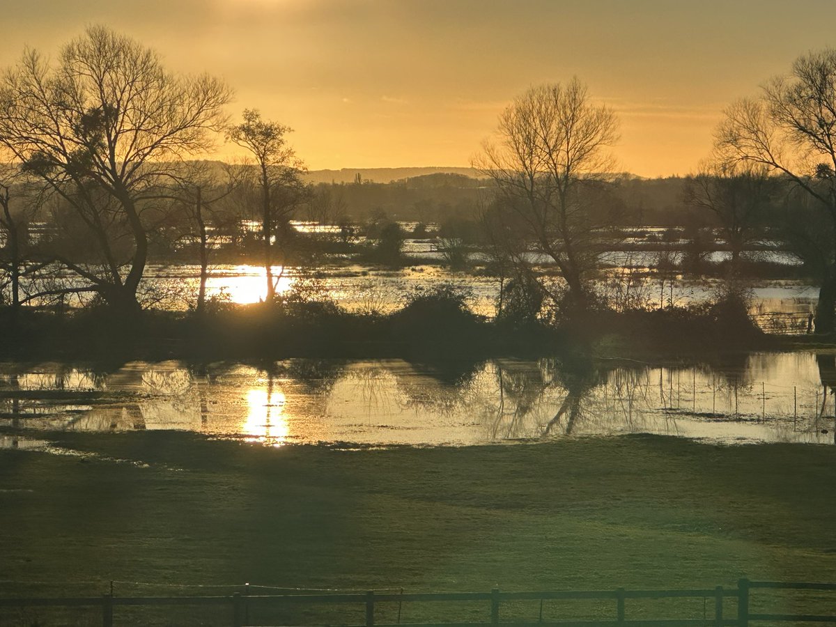 Gav Sadler (@gavsadler) on Twitter photo Water still rising. This field was dry this morning. Even with a dry day - catchment water is still hitting the moors. We could do with the additional pumps at Northmoor online asap. <a href="/EnvAgencySW/">Environment AgencySW</a> <a href="/dredgetherivers/">FLAG Somerset</a> Water still rising. This field was dry this morning. Even with a dry day - catchment water is still hitting the moors. We could do with the additional pumps at Northmoor online asap. <a href="/EnvAgencySW/">Environment AgencySW</a> <a href="/dredgetherivers/">FLAG Somerset</a>