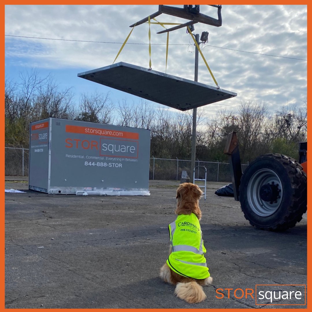 Maddie Monday🐕

Maddie will always be willing to help you with renovations or storage needs. 😁

.
#atlanta #Tennessee #Knoxville #moving #storagecontainer #storage #house #makeover #new