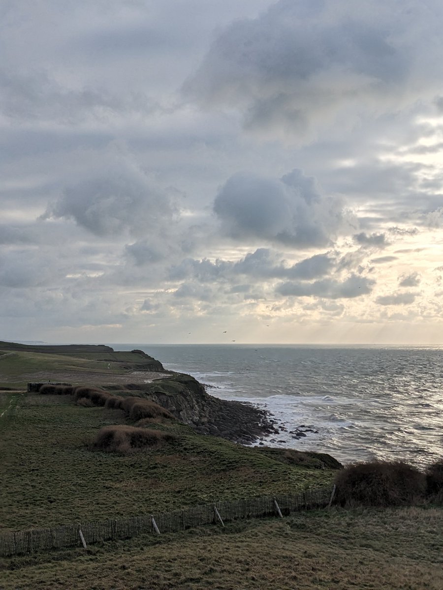 Nicolas 🇺🇦 tweet media