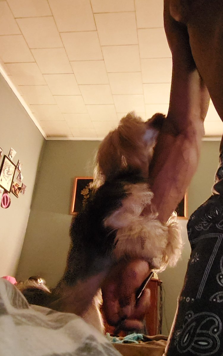 DrewTheoloneus's tweet image. I mean, the #love #ThePrincessChronicles #homeflow