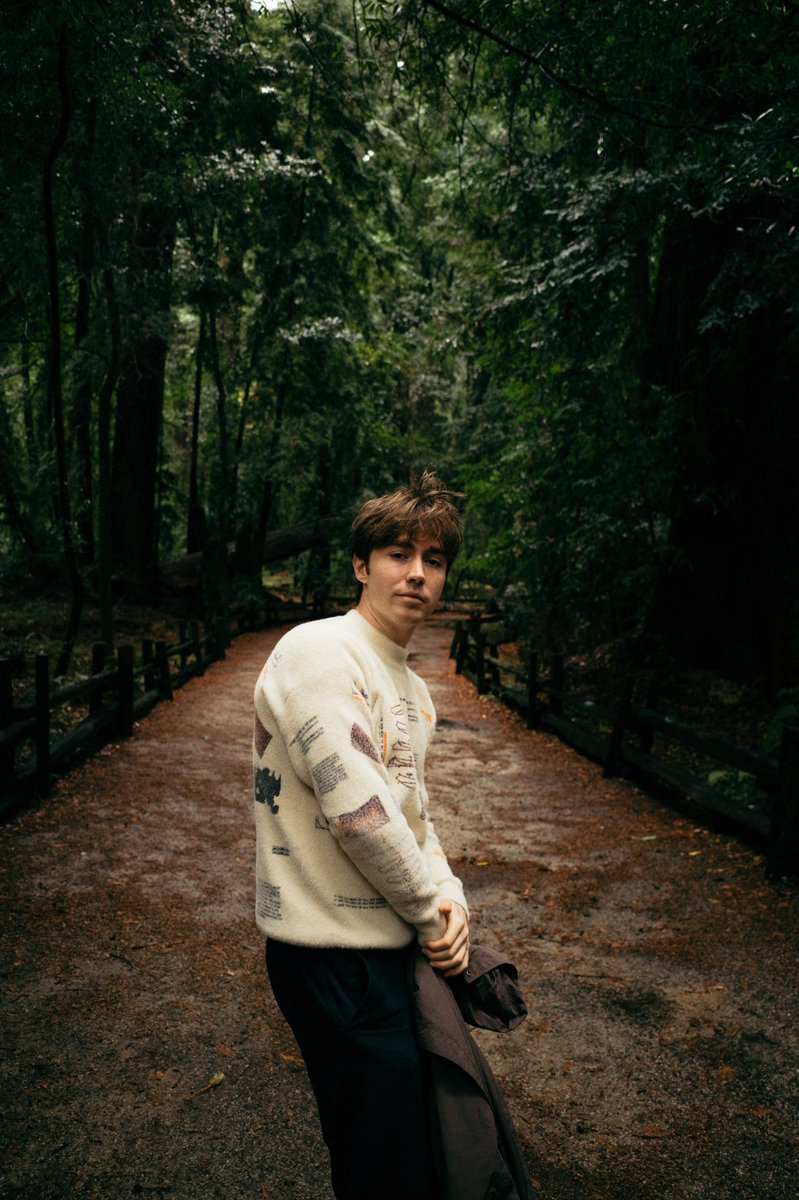 matt maltese tweet media