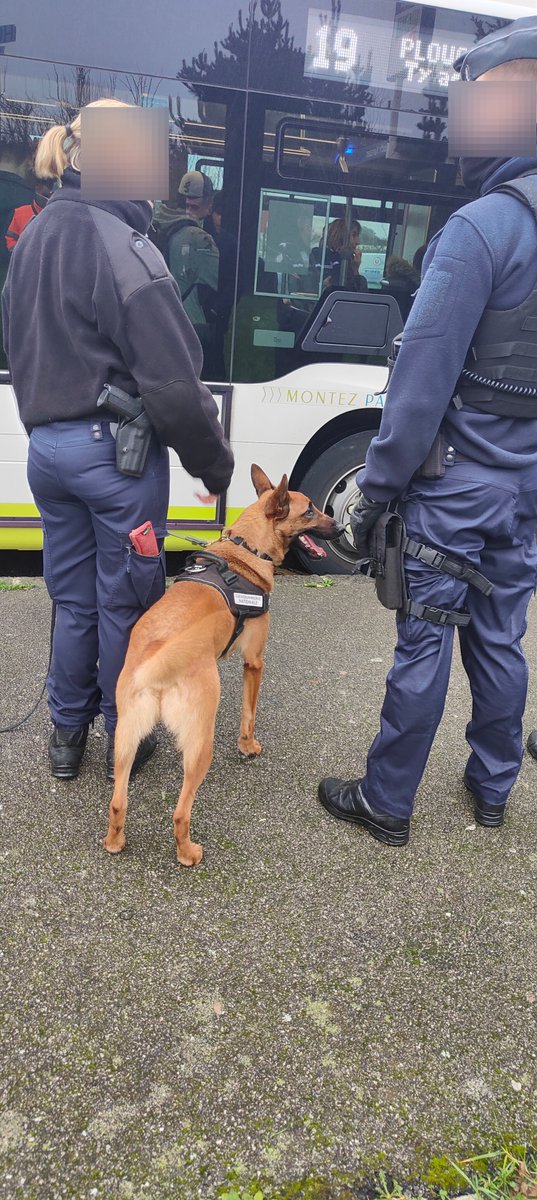 BibusBrest's tweet photo. 📅Vendredi 13/01, à Plougastel-Daoulas➡️opération de contrôle en collaboration avec la compagnie de la  @Gendarmerie_029.
✅11 bus - ligne 19
✅390 voyageurs
🙏Merci à nos clients pour leur accueil bienveillant !
#Brestfr #Plougastel #controle #securite #titredetransport https://t.co/WznpZxwJ5W