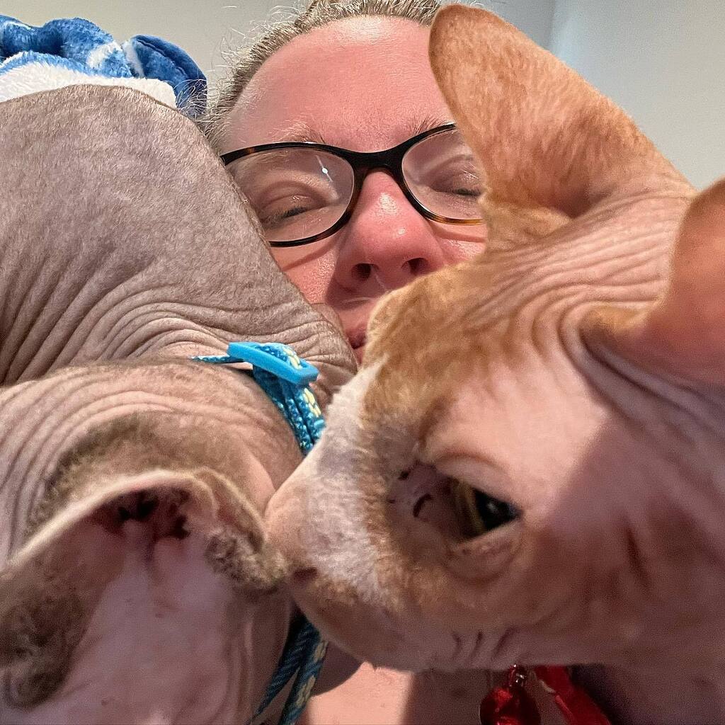 Help! #sphynx #sphynxcat #sphynxtagram #sphynxofinstagram #sphynxcatsofinstagram #sphynxcats #sphynxcatsruletheworld #sphynxfamily #sphynxcommunity #sphynxlife #sphynxmom #sphynxmama #spoiledsphynx #sphynxlove #sphynxlair #hairlesscats #cat #cats #catsof… instagr.am/p/Cne2vW8OI2h/