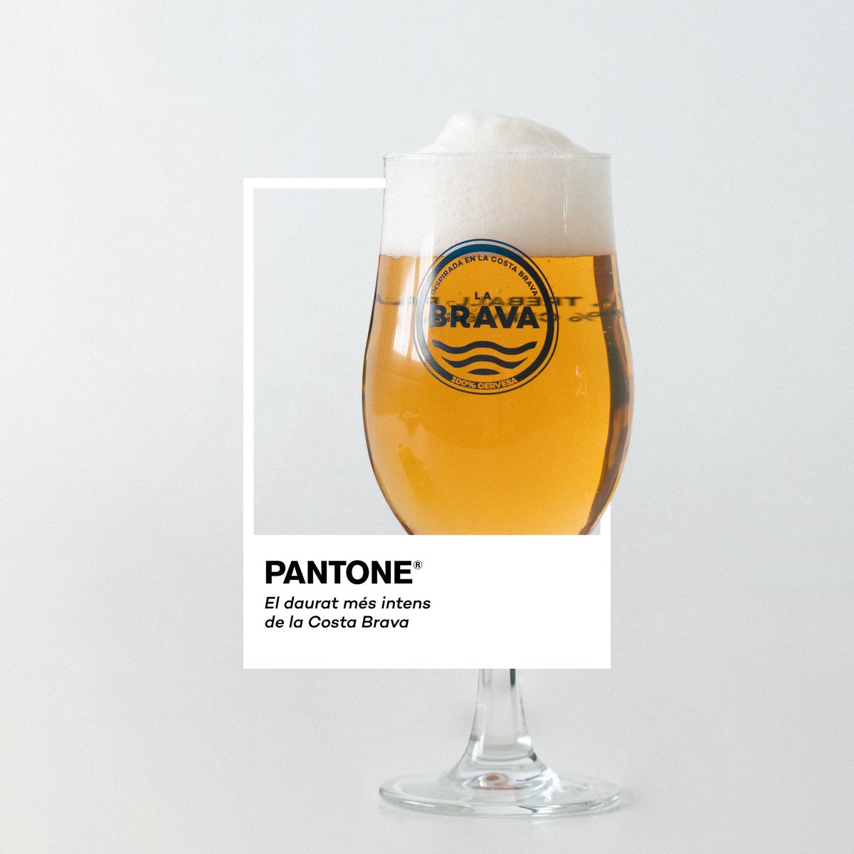 labravabeer's tweet image. El Pantone que necessites i que nosaltres tenim!🤤

#pantone #cerveza #dorada #labrava #cervesalabrava #labravabeer #beer #costabrava