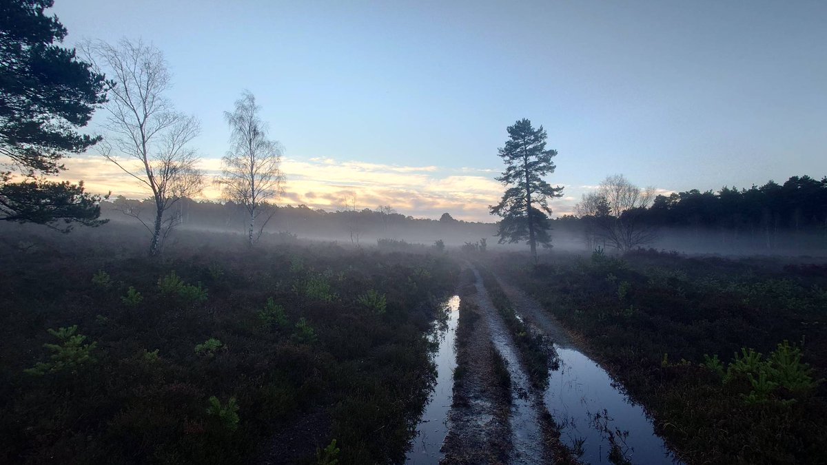ApexSoil's tweet photo. This is how most of our mornings have looked this week

Luckily for us it was blue skies today, unluckily it didn't last long

It's been a wet start to 2023 and if you have any localised flooding we maybe able to help https://t.co/O1O94oHz0f