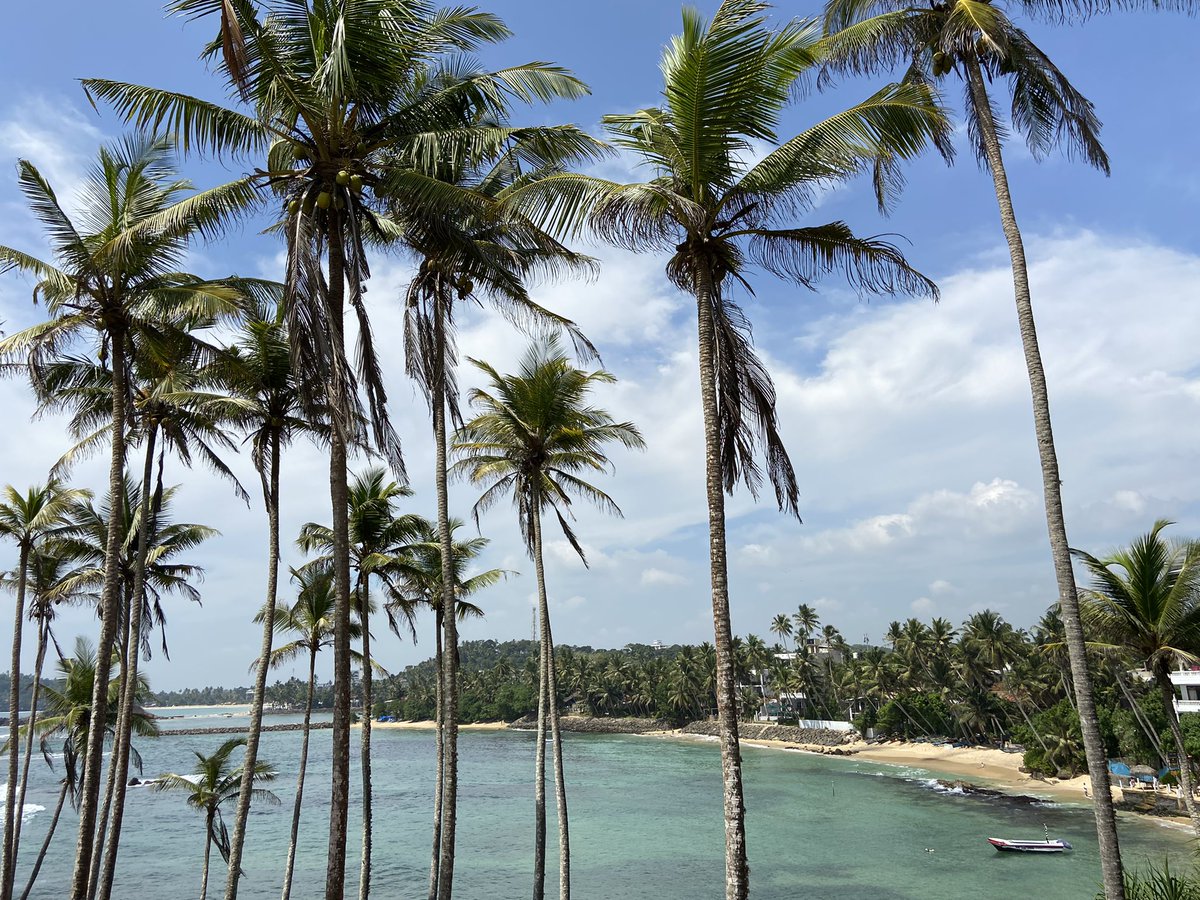Мне очень нелегко далось решение уйти в отпуск на месяц посреди учебного года. И как же здорово осознавать, что перезагрузка была необходима! Горжусь собой 💟
Работа никуда не денется, а вот выгорание может настигнуть. Забота о себе - основа основ. 🌴
