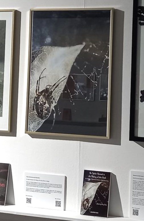 KBG_Tweets's tweet image. Grateful to be part of this gallery installation with my cover - Oh that spider! #bookcover #exhibition #Arachne10 #art @uoggalleries @ArachnePress