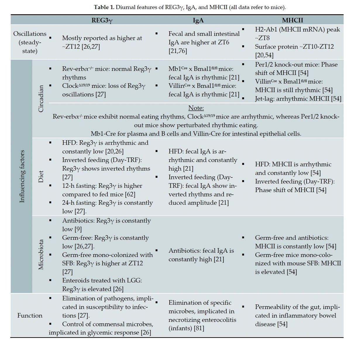 Karina Ratiner tweet media