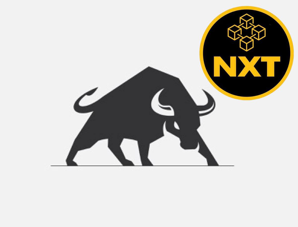 ChoganMchogan's tweet photo. @shibodog9 @101whaale EZ choice really, #NXTchain has so much going for it. People have no idea how crazy its going to get! #BullishAF #Bullrunlife #NXTscan #NXTwallet https://t.co/KX90tf0SrB