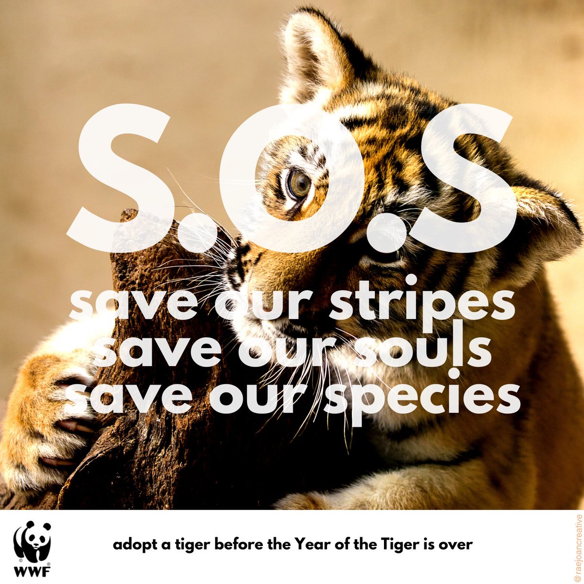 S.O.S
@wwf_uk
 #YearOfTheTiger
@OneMinuteBriefs