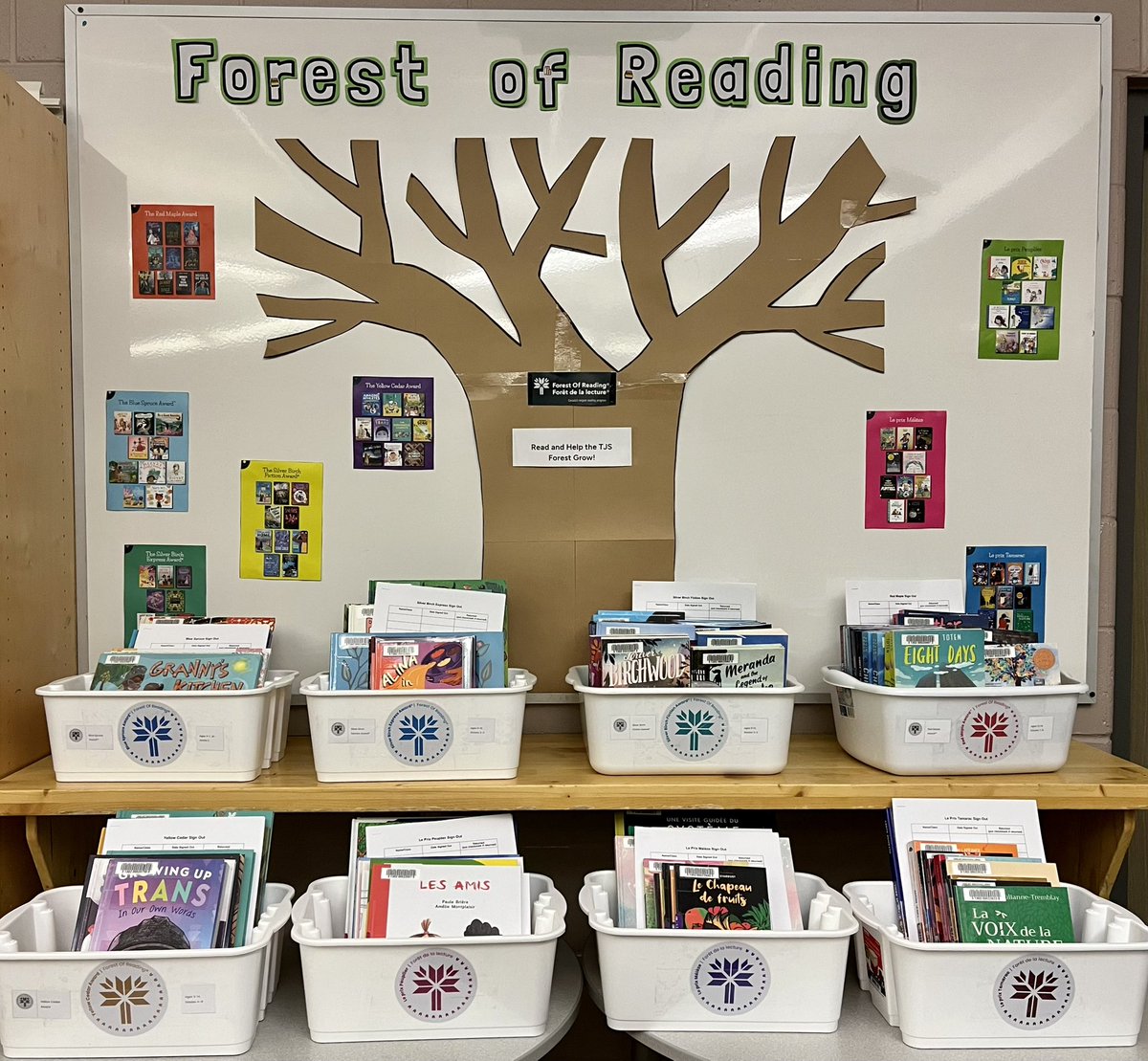 LibraryTjs's tweet image. Forest of Reading is here! Help the TJS forest grow. Read a Forest of Reading book, and a leaf with your name will be added to our tree 🌳 @ForestofReading @tigerjeetps @HDSBLibraries #ForestofReading