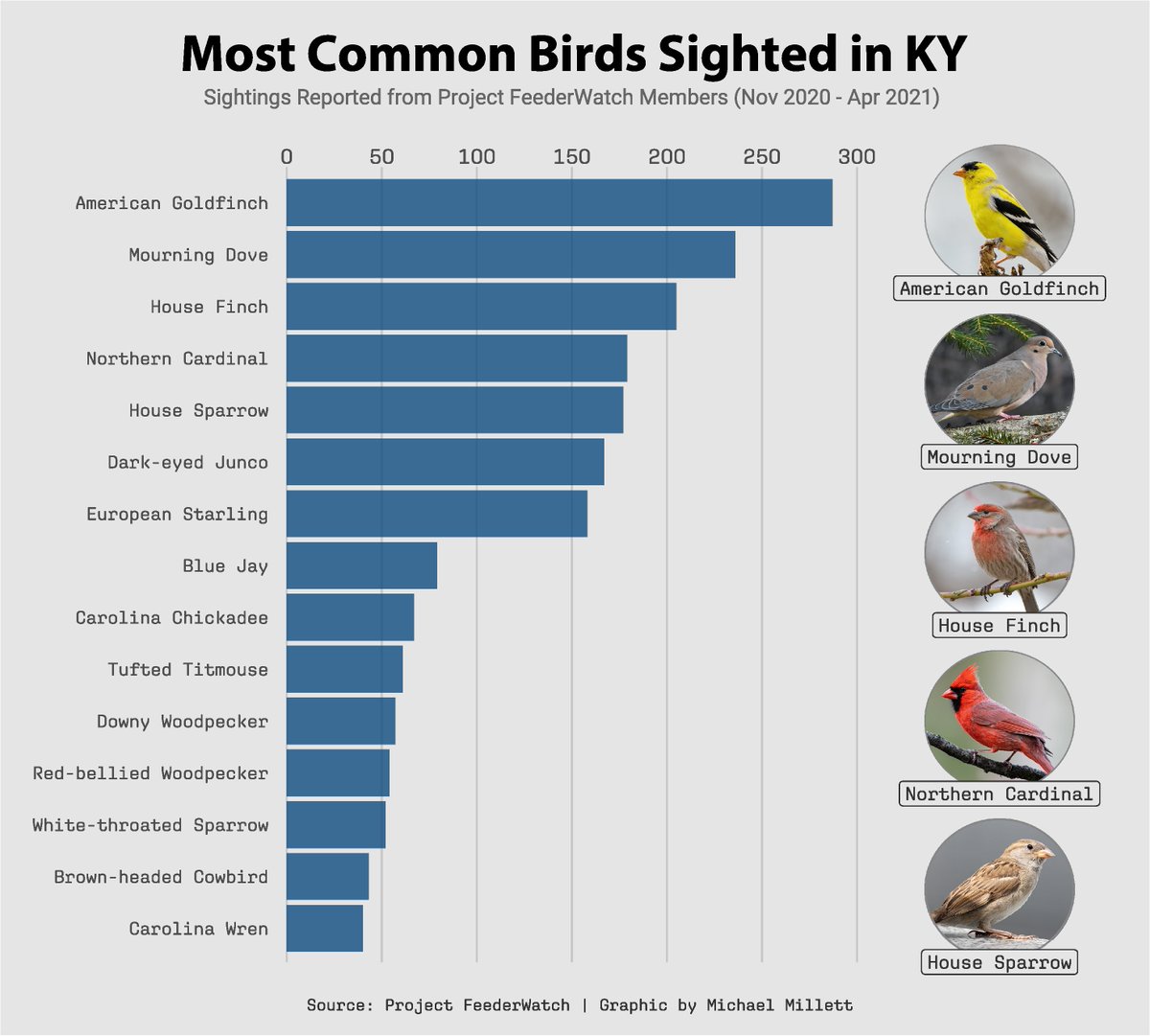 #TidyTuesday Week 2 - Bird Sightings Reported from Project FeederWatch Members

A bar graph showing the most common bird species spotted in KY from PFW members - Have you seen any of these birds?

Code: github.com/michael-millet…

#r4ds #ggplot #dataviz #rstats #posit