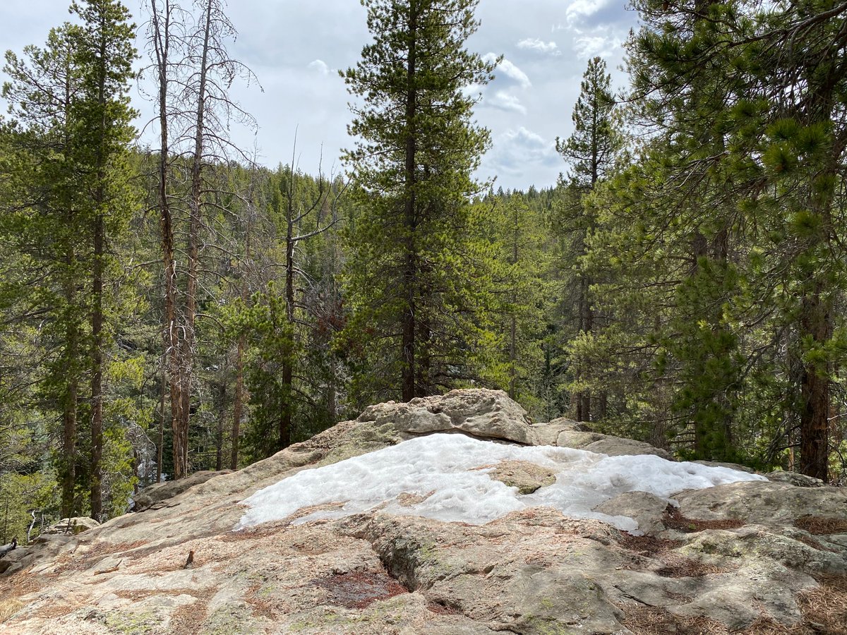 COTeaBookWitch's tweet photo. New blog post titled Woman At The Mountain: https://t.co/bNnuLTabl0
#mindful #amwriting #blog #Colorado #livingyourlife #MartinLutherKingJrDay https://t.co/vXkAdTdnrs