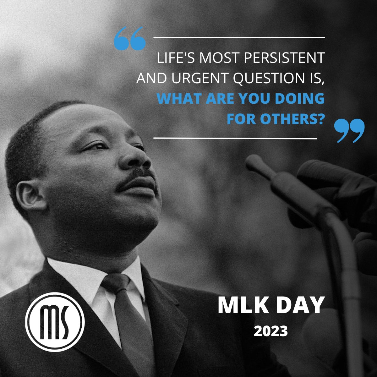 MS Companies tweet media