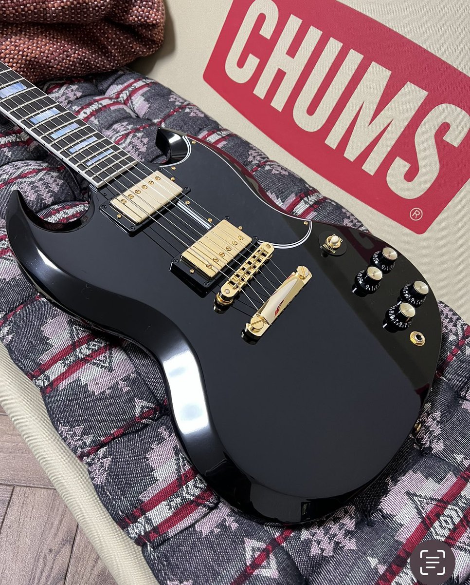 今日もギターが楽しい！ (ニューギターです)