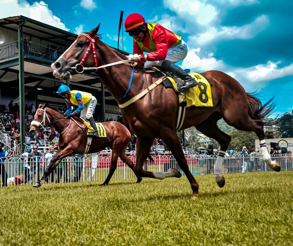 If you can't make our race night but still want to support us, then you can sponsor a race, a horse or a jockey! How great is that?

Just send us a message &amp; we'll get it sorted for you.

eventbrite.co.uk/e/rotary-chari…

#herefordhour #sponsorship #charity #hereford