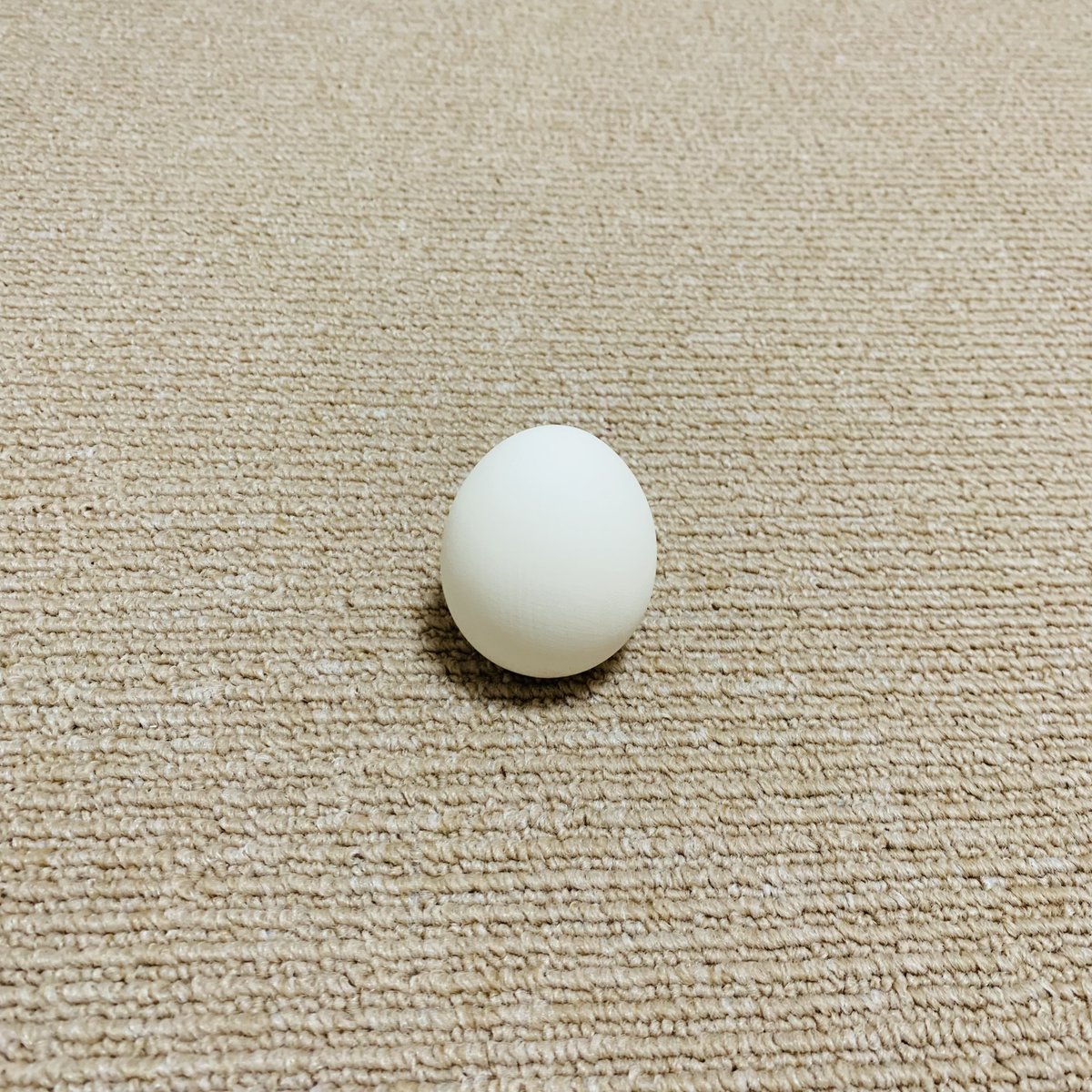 onikimk's tweet photo. いのちをそだてる ぞ!
#eggling https://t.co/fE4T0INns8