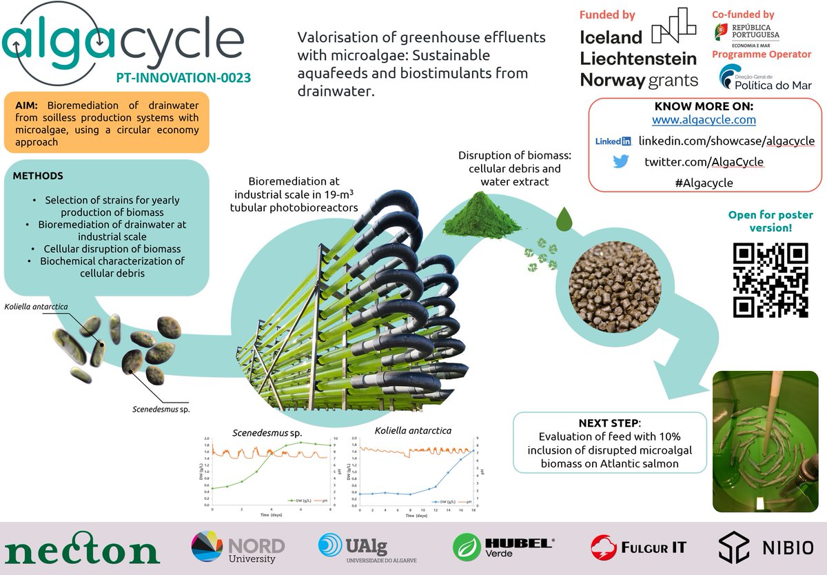 Alga Cycle tweet media
