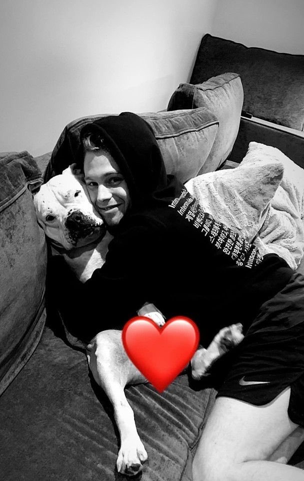 5SecsOfB0yband's tweet photo. SOFT!LUKE 🤏🥺 A very necessary and wholesome thread🥰: https://t.co/QIomi91lym