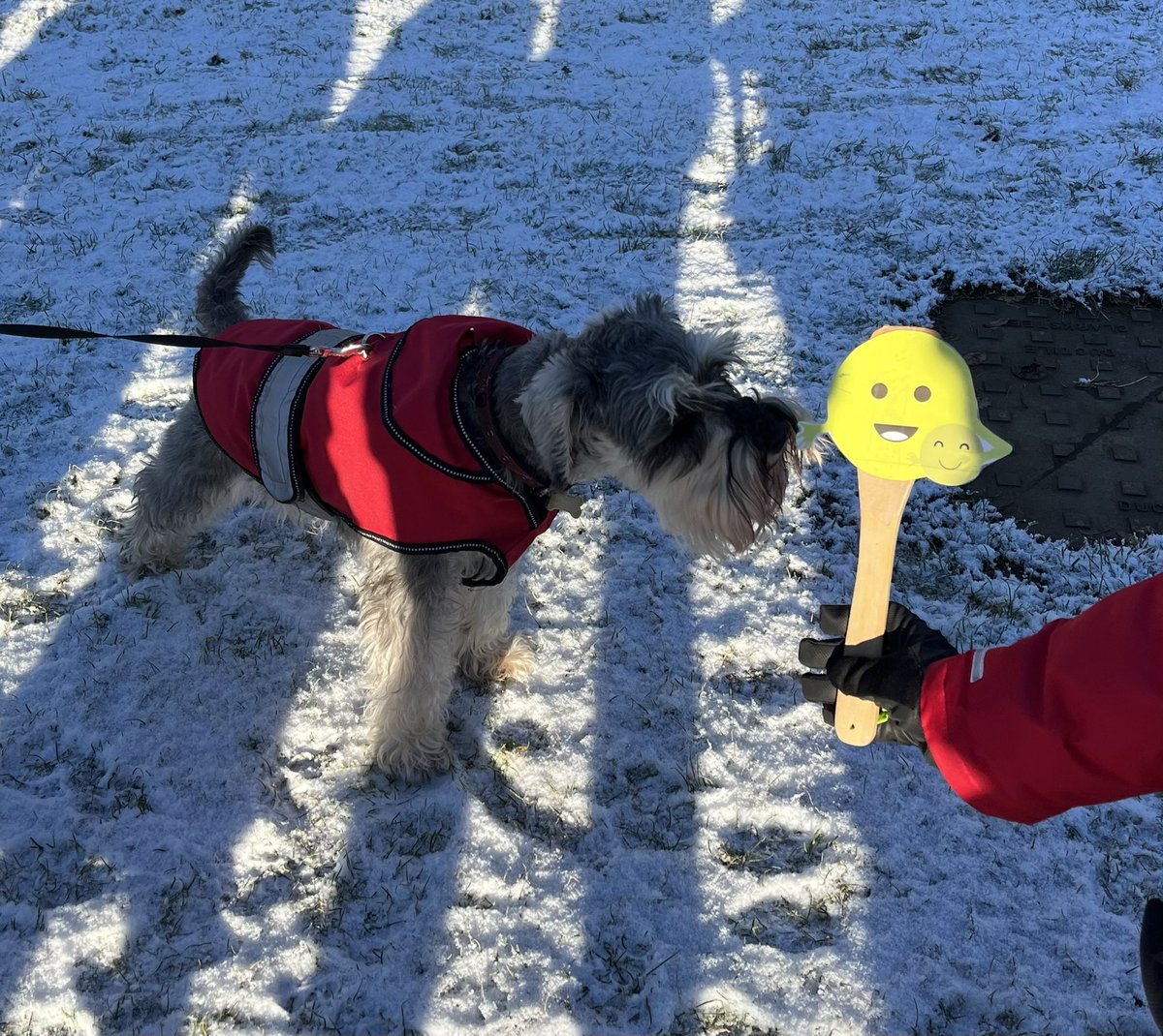 Today the children went out for a walk in the snow with the help of Safe Sally. Focusing on how we stay safe whilst out and about and around water. We then bumped into a dog who also wanted to meet Safe Sally, we remembered to be safe when saying hello to the dog 😃