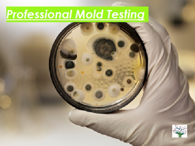 MIlosangeles's tweet photo. Our experts are thorough, skilled &amp; knowledgeable. By relying on us, you can get your mold sampling results.

We can help you to understand more about the problem and we can inform you of possible solutions. https://t.co/5XSSF0qBqZ #MoldTesting #MoldInspection #MoldTestingCompany https://t.co/p0xxJ709ut