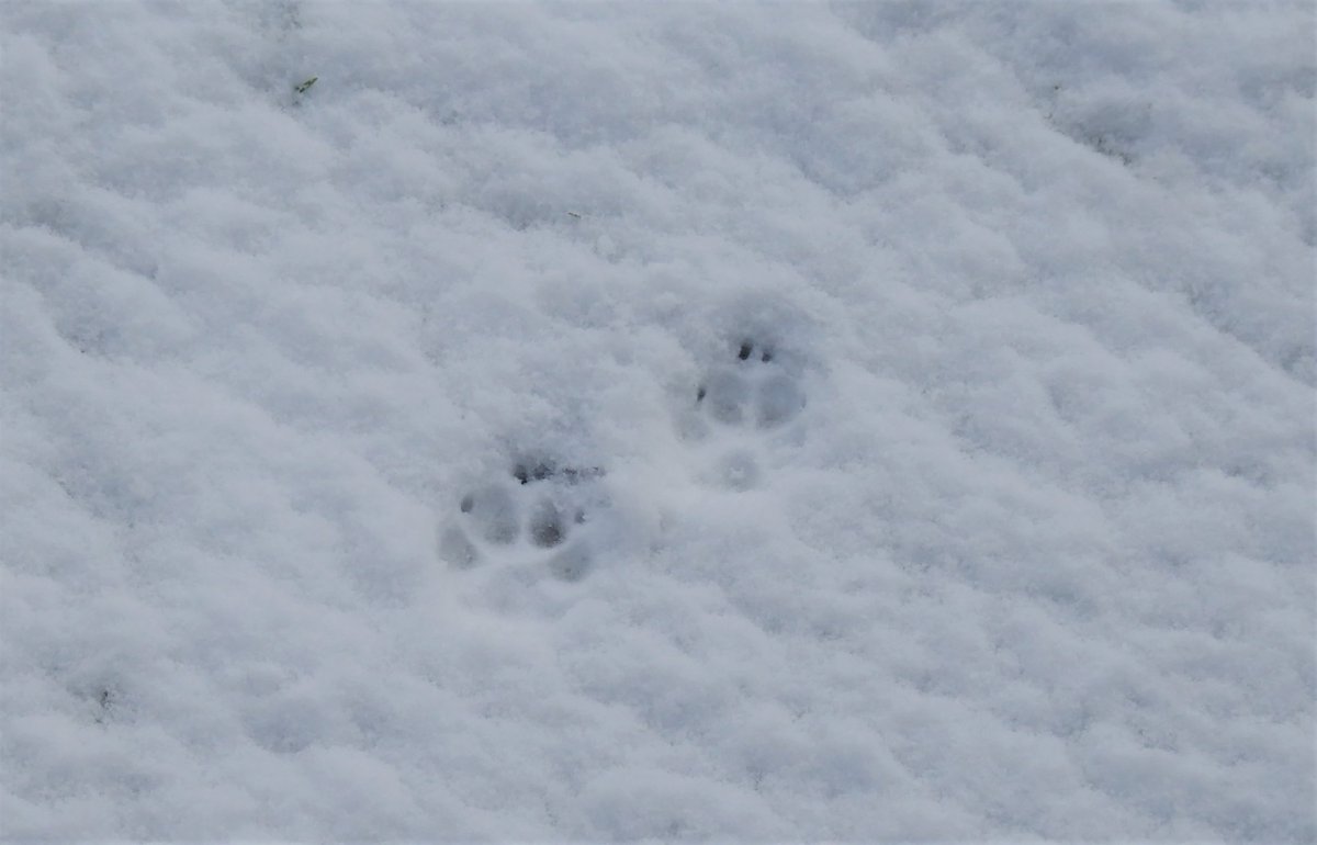 Katy Chaos 🌈 tweet media