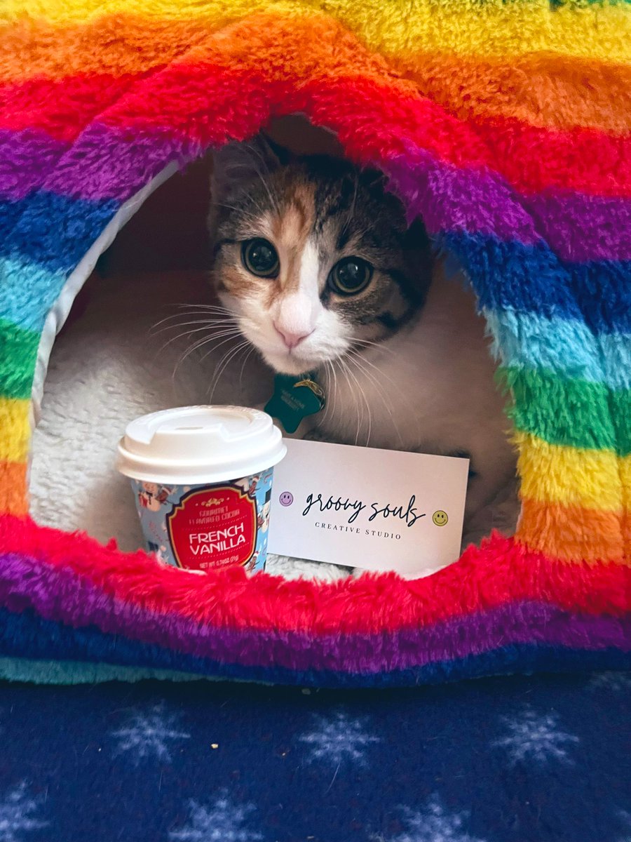 GroovySoulsCS's tweet photo. Good Morning &amp; happy Monday from our cute mascot Mango!💜💚 #groovy #souls #groovysouls #creationstudio #resinart #resin #mixedmedia #GraphicDesign #smallbusiness #supportsmallbusiness #CatsofTwittter https://t.co/n1xh3MsFAC