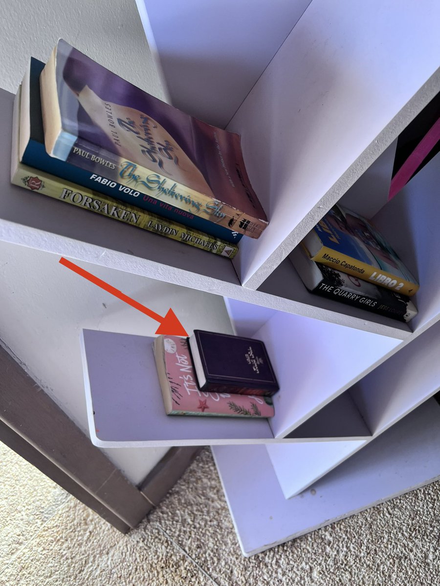 Metaed's tweet photo. @DBashIdeas pls help me find the owner of this Siddur left with the “pool books” at the Hyatt in Puerto Rico. PS: it’s greater than all of them combined. #hashavasaveidah https://t.co/LhfYhvF3aU