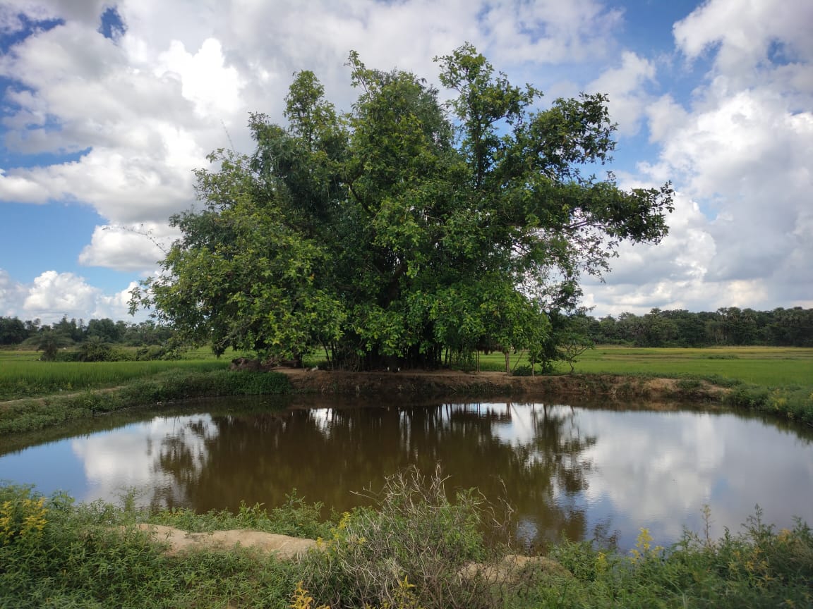 anshugoonj's tweet photo. People from Kulaijuri village came together to build this beautiful pond from scratch in 5 days which will now solve their water-related needs.
Village: Kulaijuri
Block: Bishnupur
District: Bankura
Year: August 2022
#Goonj #30Days30Stories #OdhaDoZindagi #clothforwork https://t.co/s7ep379ynD