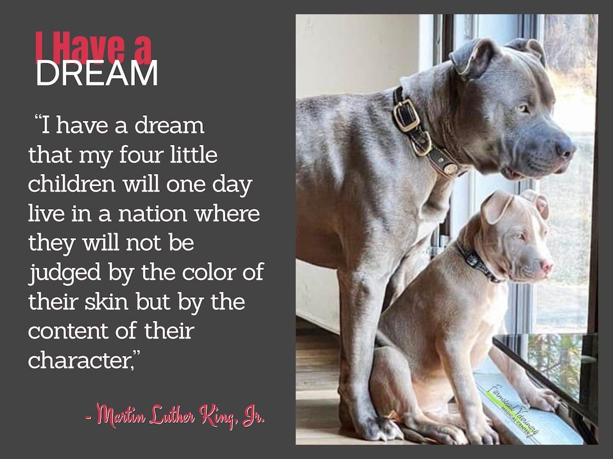farmsteadvmc's tweet photo. #MLKDay https://t.co/HOr2ke69br