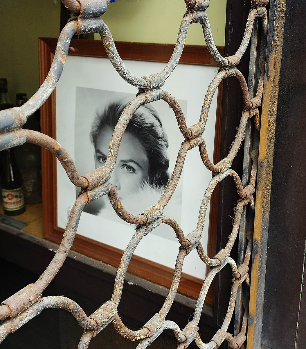 NosWhyNot? tweet media