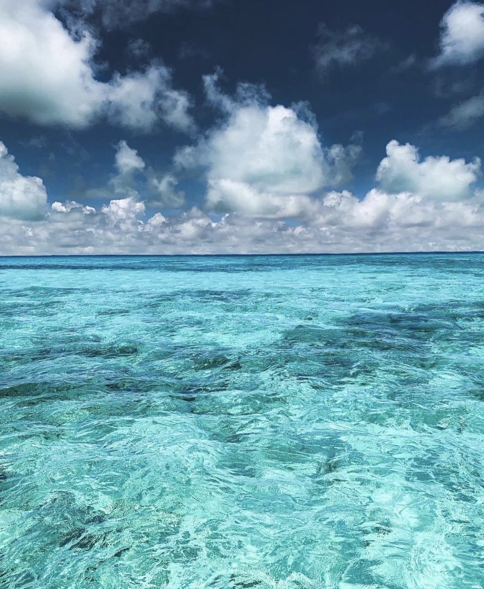 Monday Blues 🌊 #palomarfishing